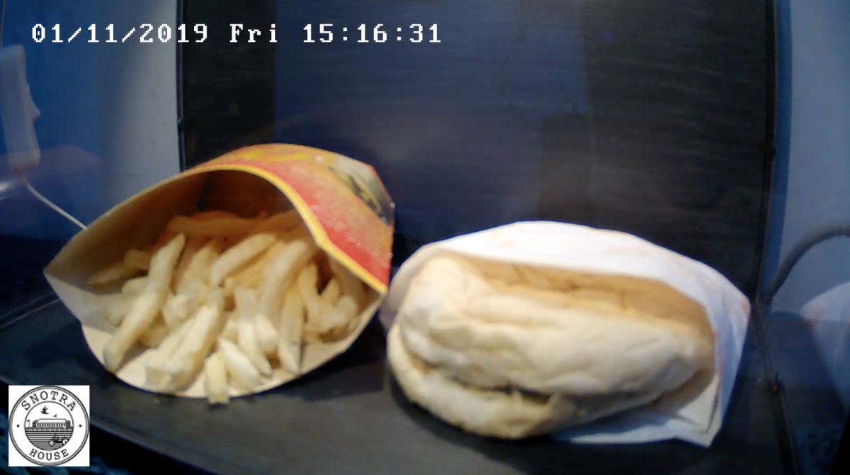 donald slayton add photo cheeseburger jesus webcam