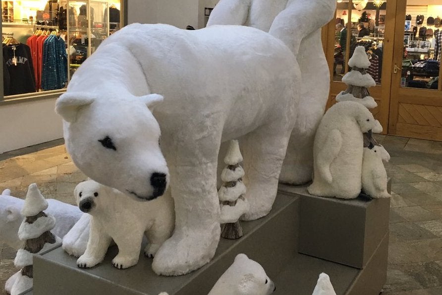 ashley vosburgh add photo polar bear porn