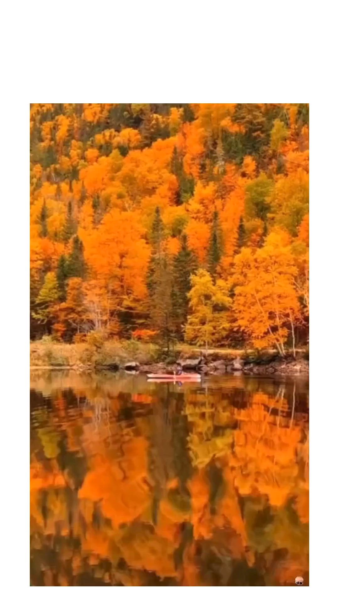 chin tran recommends Colors Of Autumn Porn