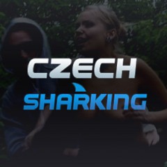 dennis brandt recommends czech sharking pic