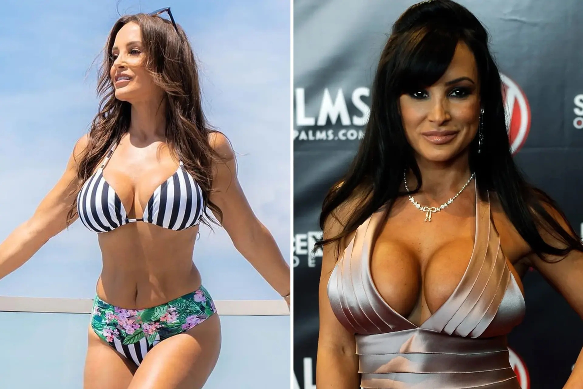 lisa ann films