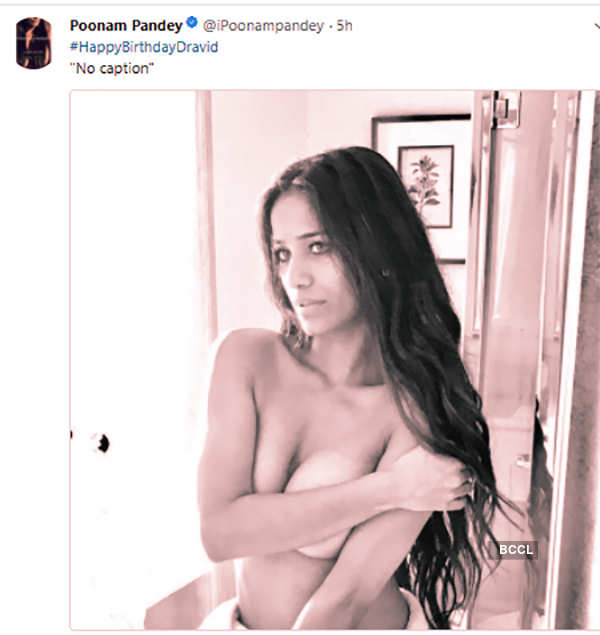 Poonam Pandey Nude fuc igfap