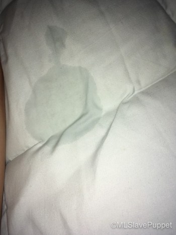 amr el hadidi recommends Squirt On Bed Sheet