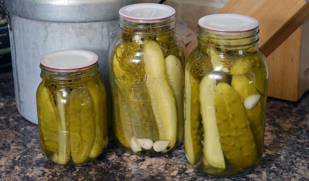 dor henig recommends pickle porn pic