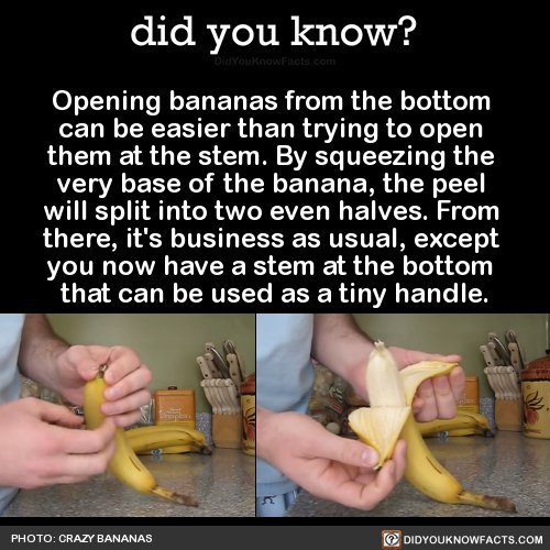 Best of Masturbating with banana