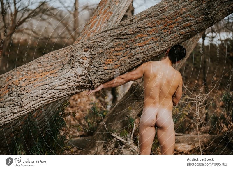 Best of Nude forest