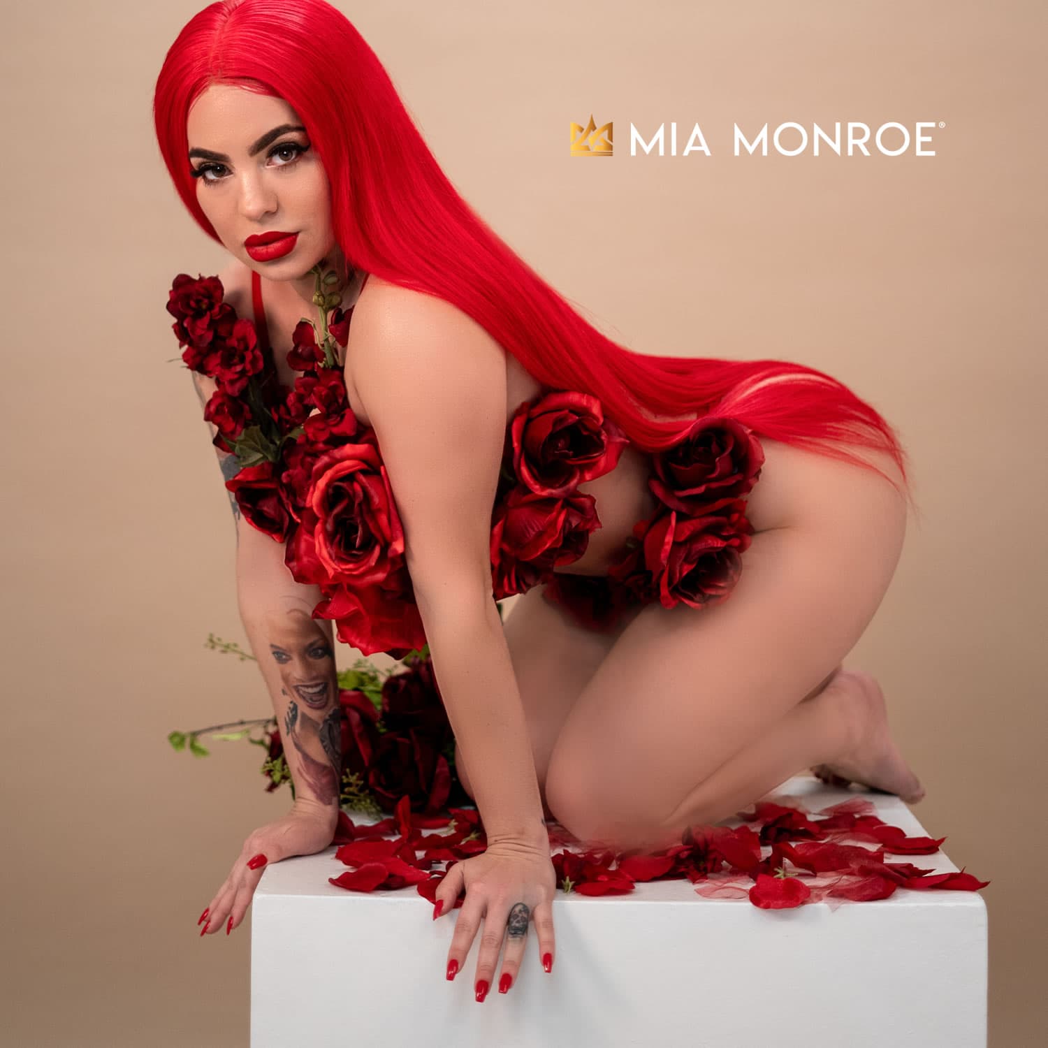 brandi hebert recommends Mia Monroe Of