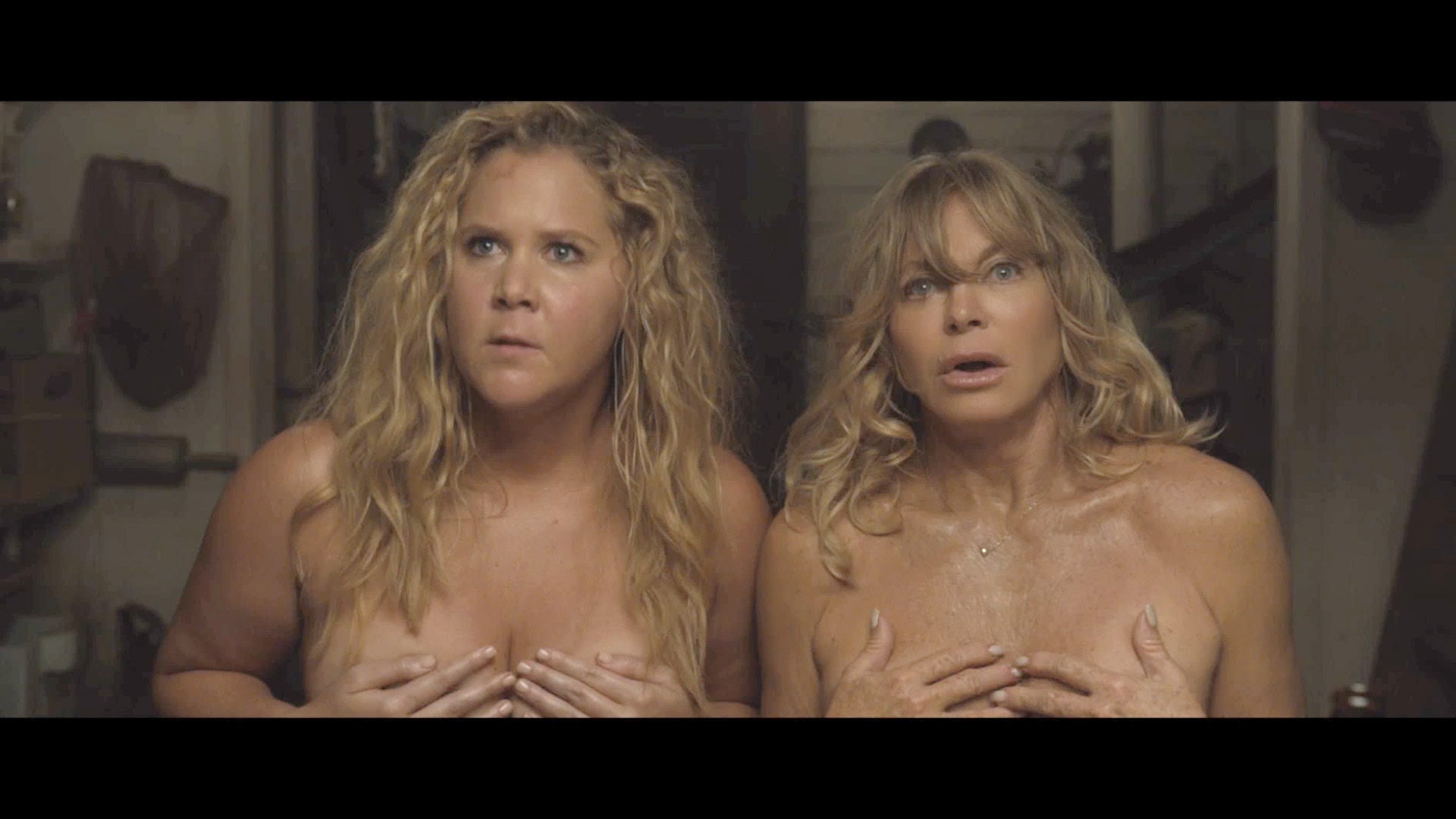 nude amy schumer