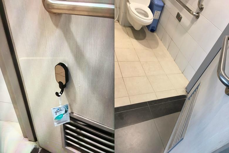 colleen barker recommends public toilet hidden cam pic