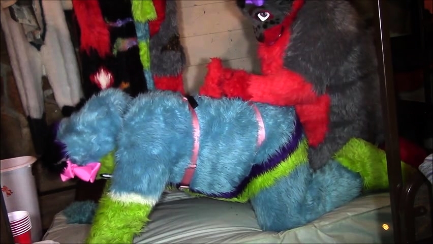 amy wilmes recommends fursuit pegging pic