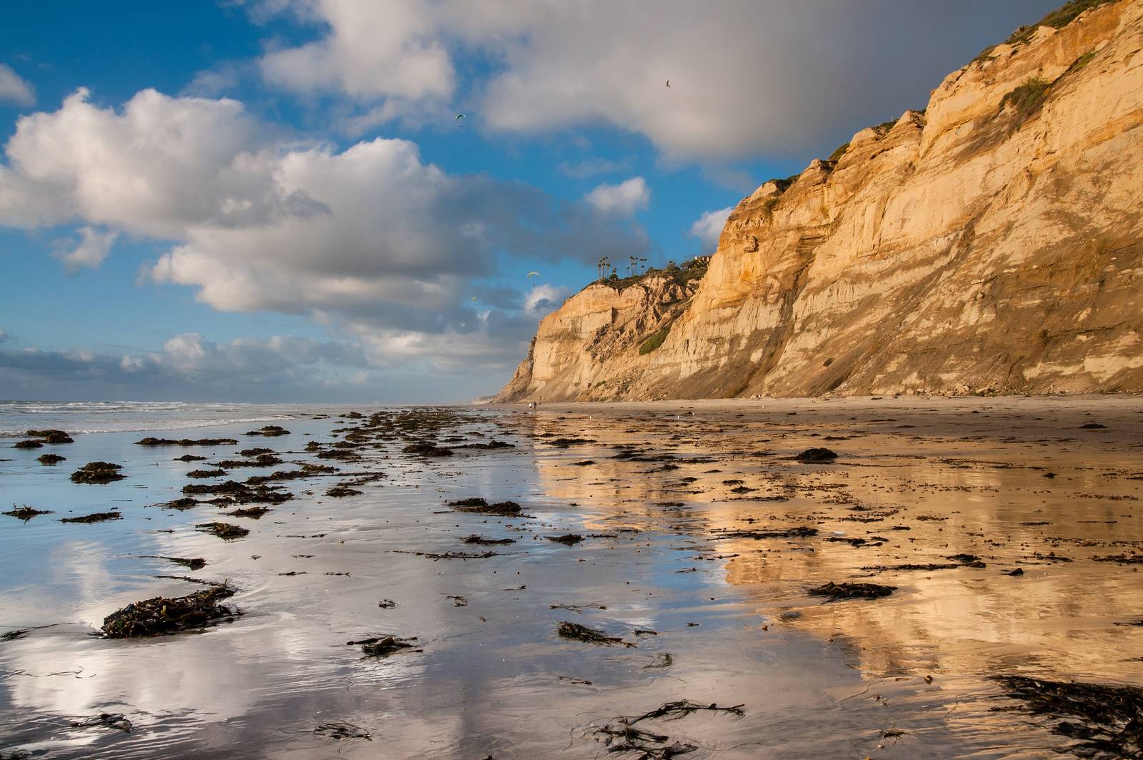 annie field recommends blacks beach san diego nude pic