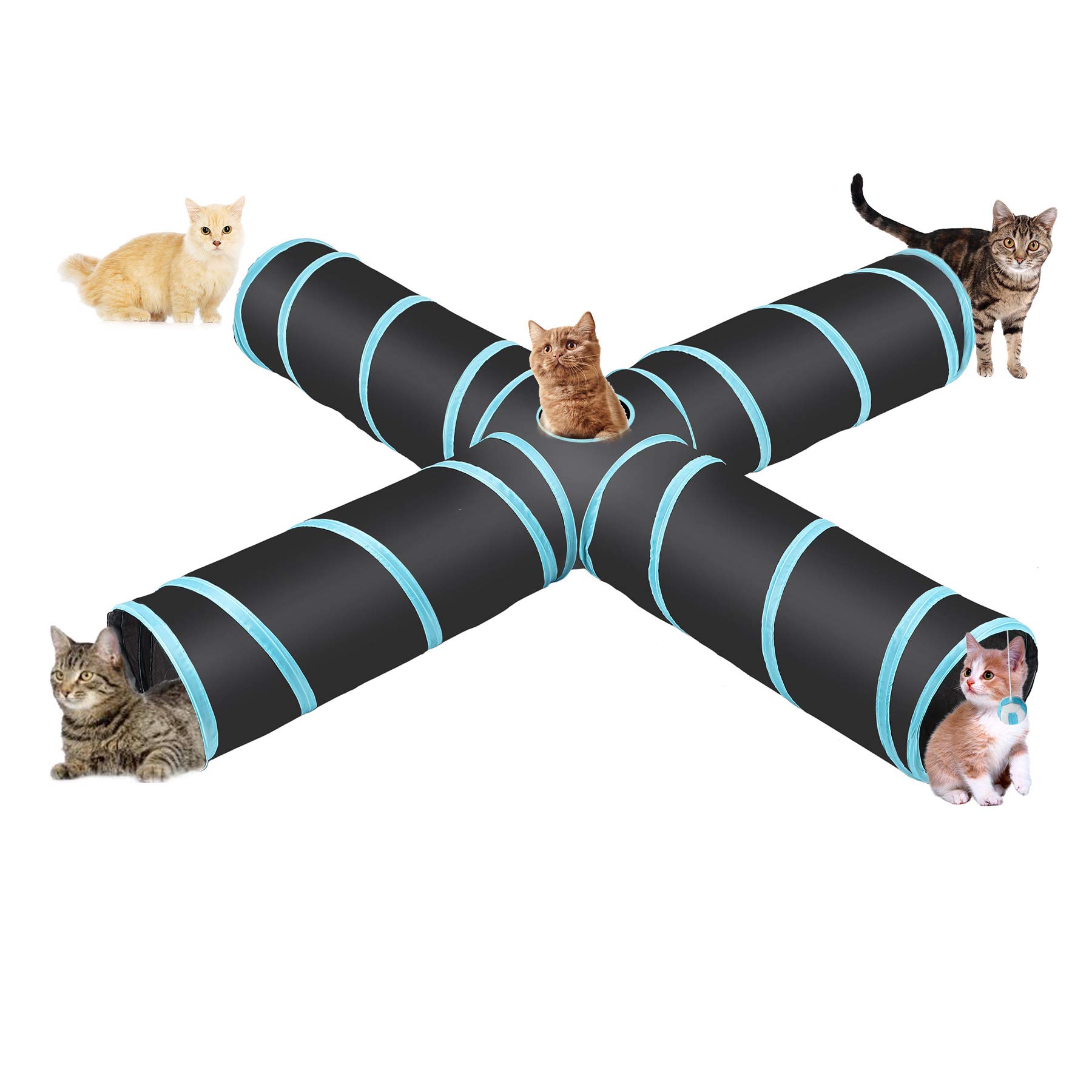 Tube Kitty of the