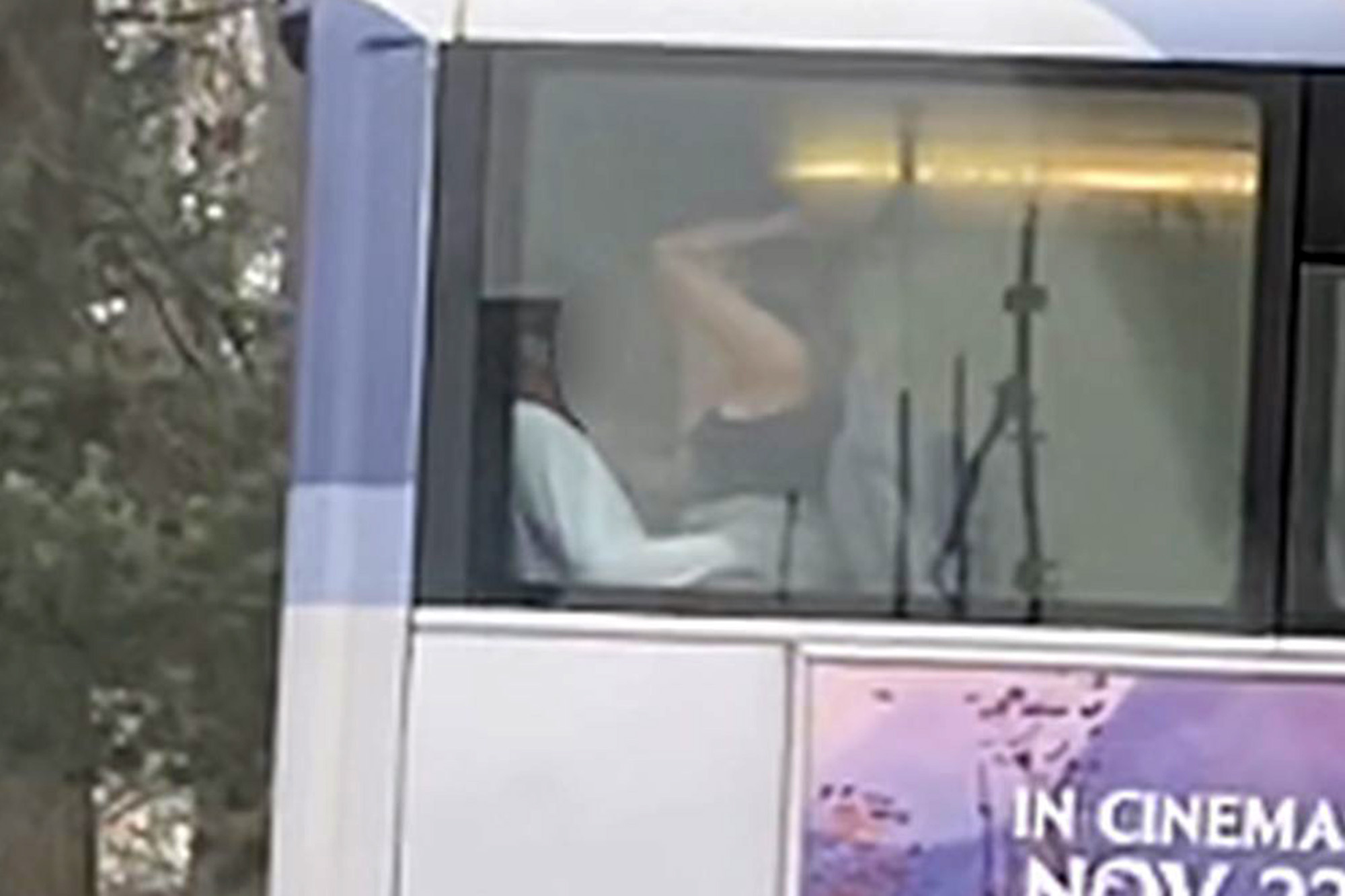 catherine mckinstry recommends seducing in bus pic