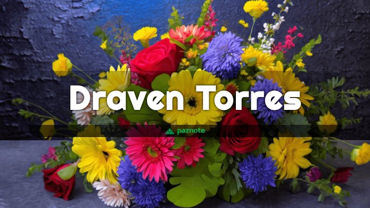 aaron rothman recommends draven torres pic