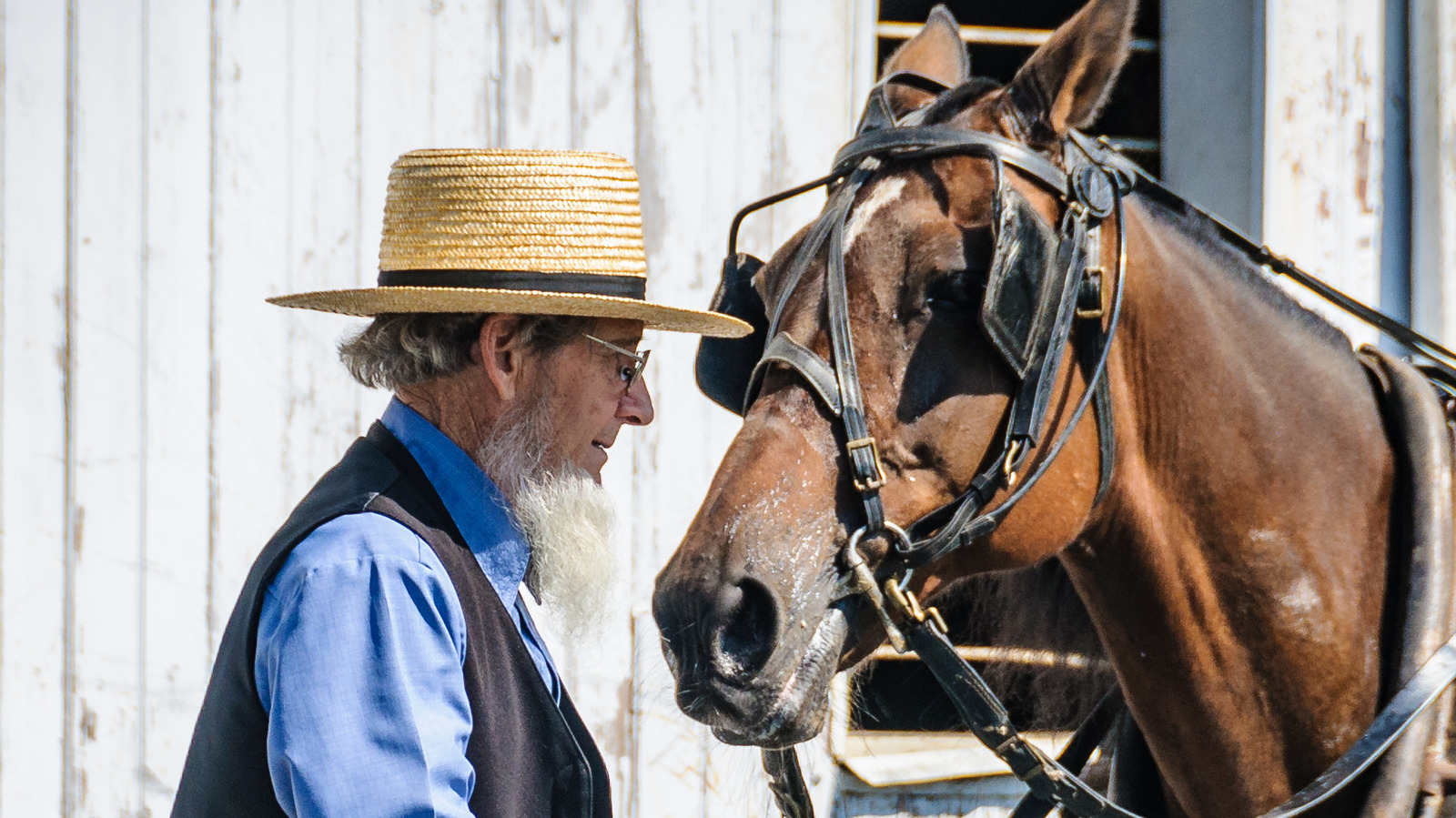 amish men nude