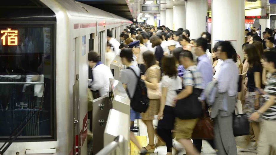 chester labrador recommends Japanese Subway Groping