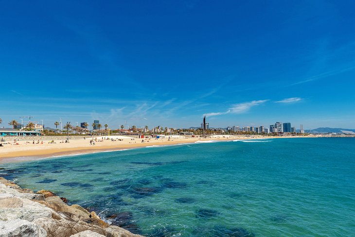 dallas pengelly recommends barcelona clothing optional beaches pic