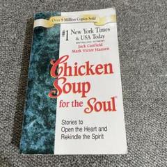 craig chappel recommends chicken soup for the hole pic