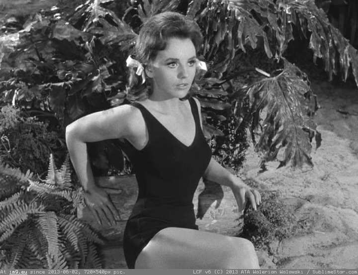 brenda lever add photo dawn wells porn