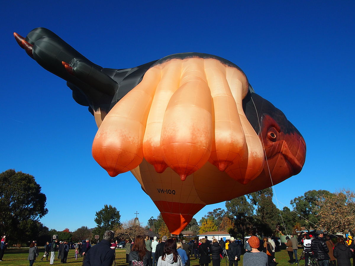 aaron arthurs recommends huge balloon tits pic