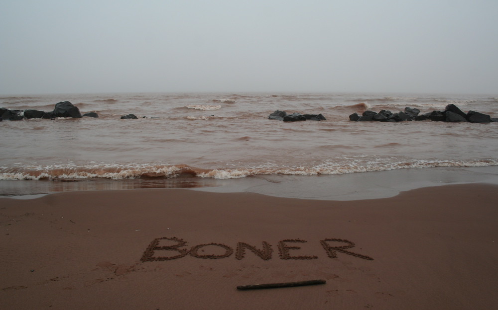 bassel yaacoub recommends Boner On The Beach