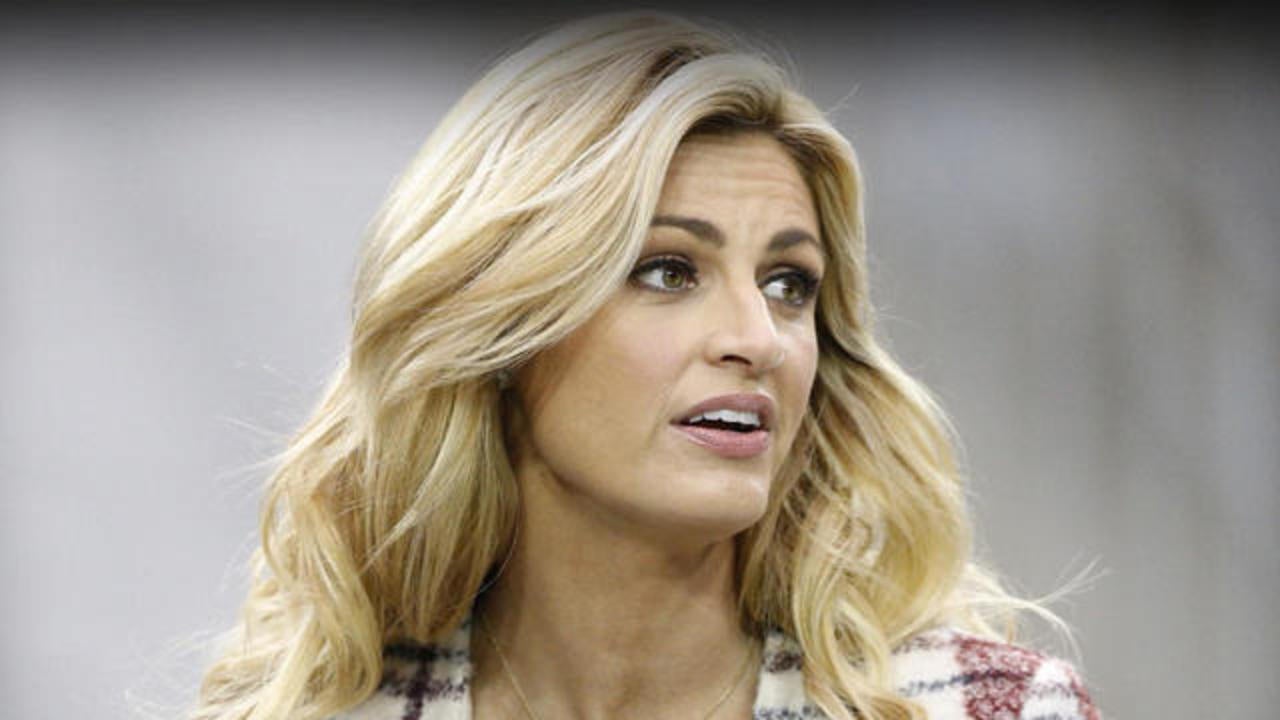 andrew botwinick recommends Erin Andrews Nude Pictures