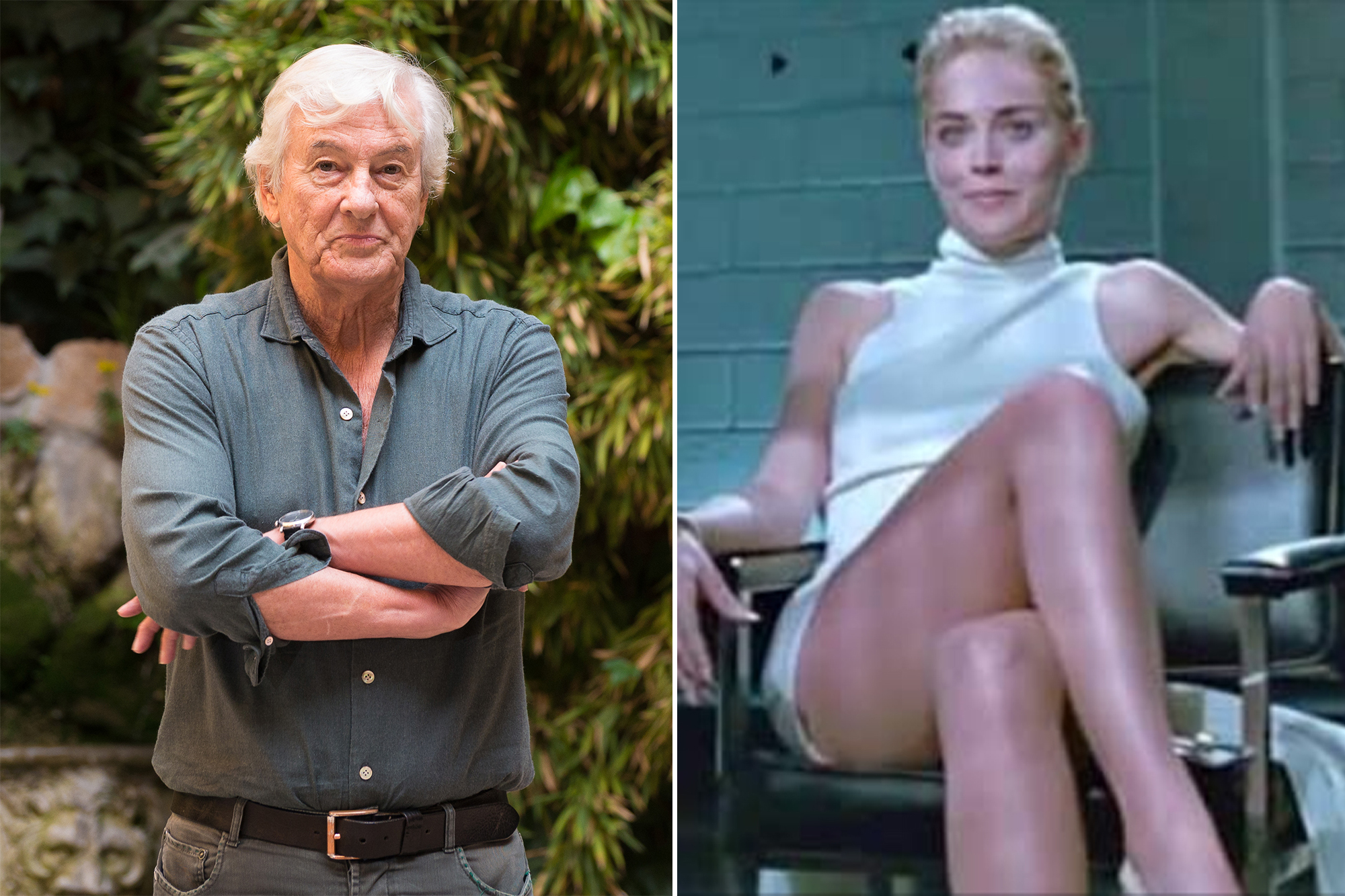 dorothy hoover recommends sharon stone nude photos pic