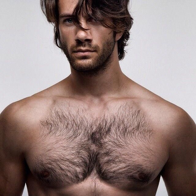 Best of Hairy studs tumblr