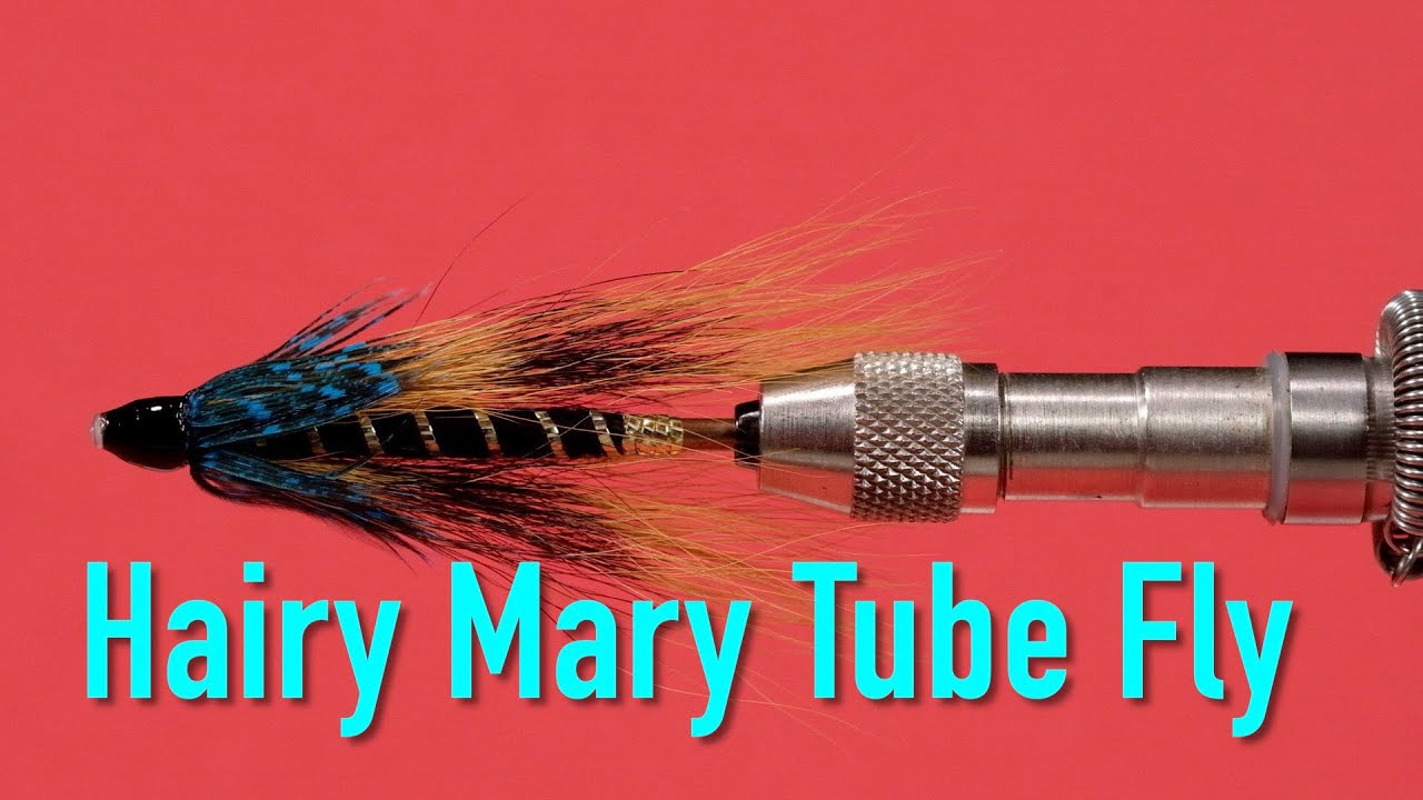 chris bourguignon recommends Hairy Tube