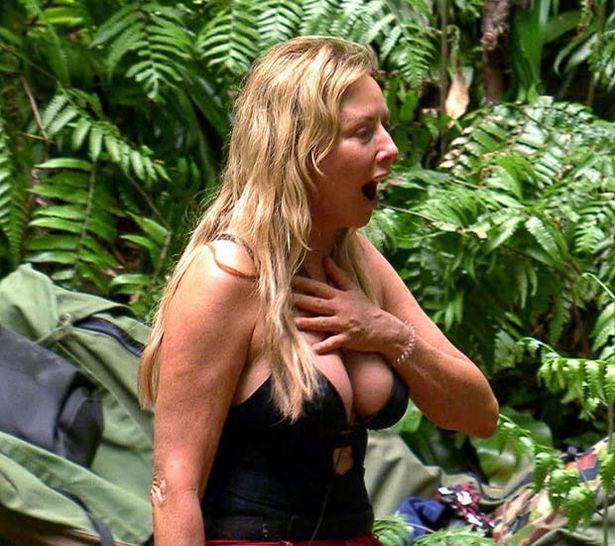 jungle tits