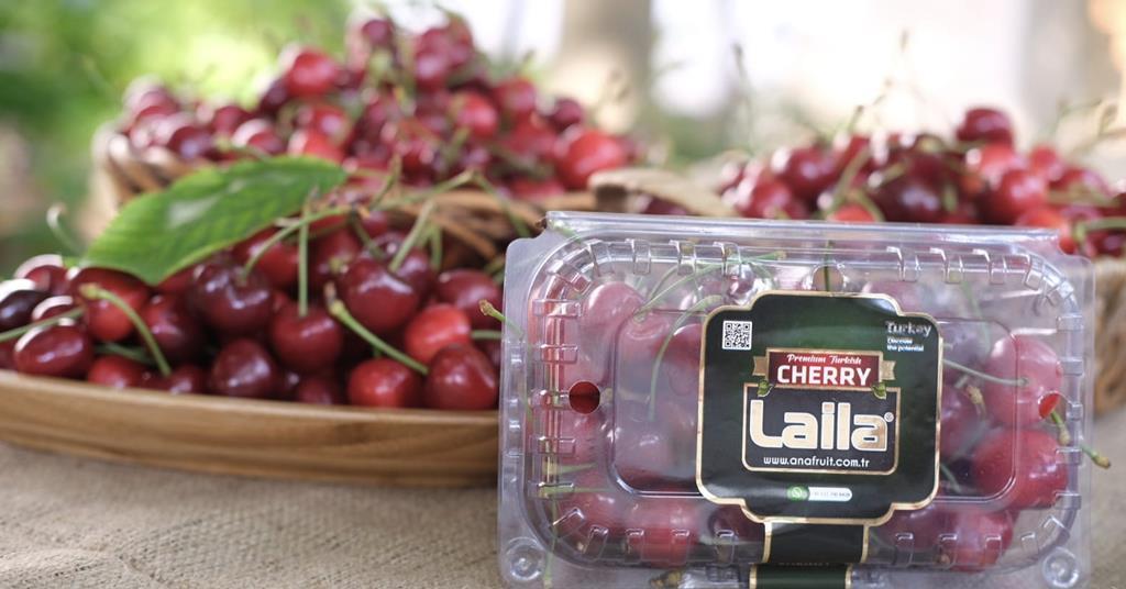 catherine bangayan recommends leila cherry pic