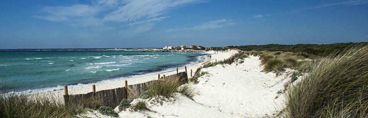 andrew james walker recommends naked mature on beach pic