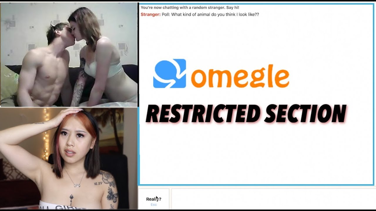 alwyn botha recommends Omegle Nsfw