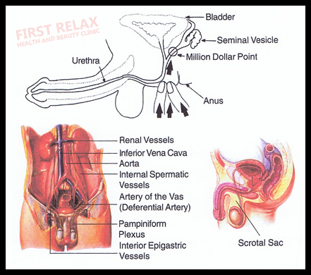 brian nicolich recommends thai testicle massage pic