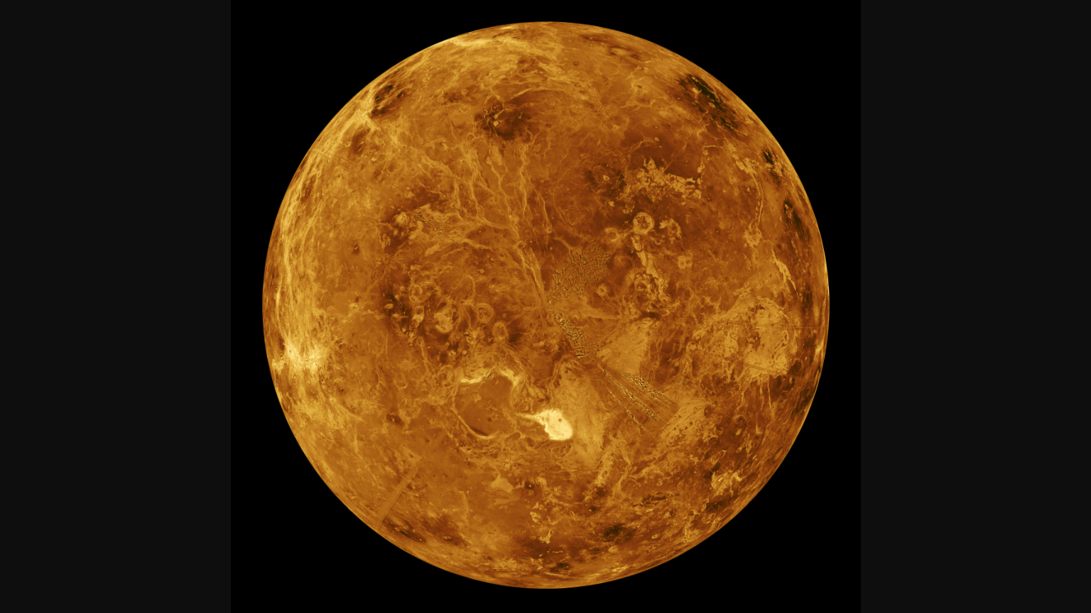 andrea douds recommends venus leaked pic