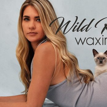 brittany kosidowski recommends wild kitty waxing pic